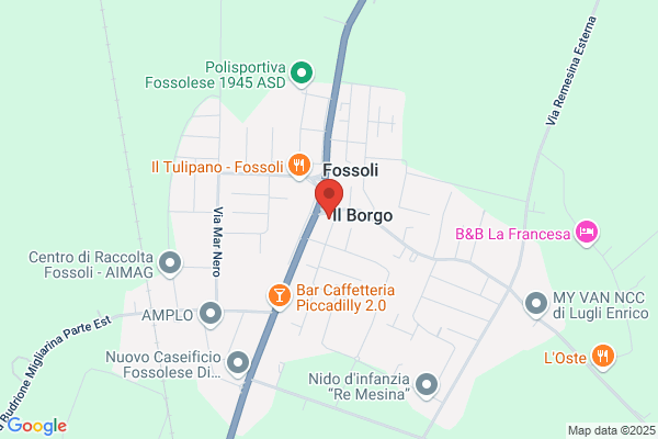 Fregni Marco