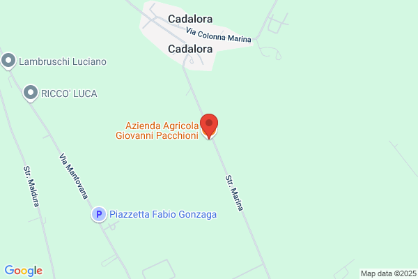 Pacchioni giovanni