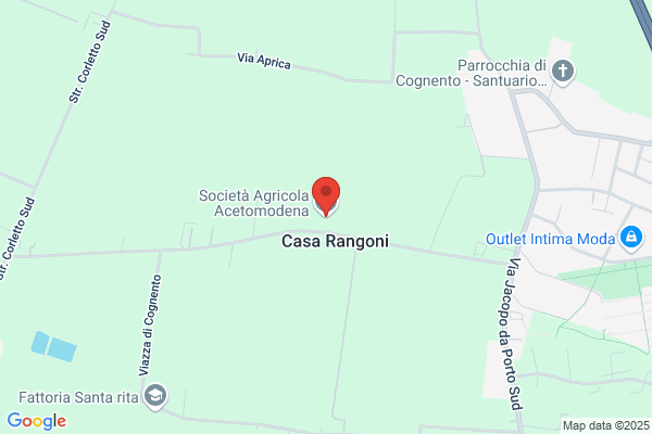 Frantoio Di S. Cesario Srl