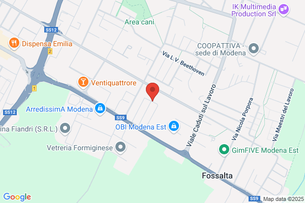 P.V.M. Pitture Vernici Modena (S.A.S.)