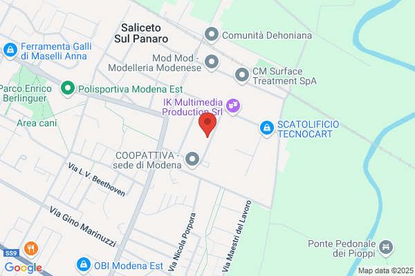 Turbo Di Cestari Cestari Fiorentini