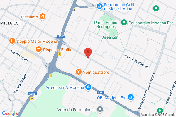 Pneusmodena