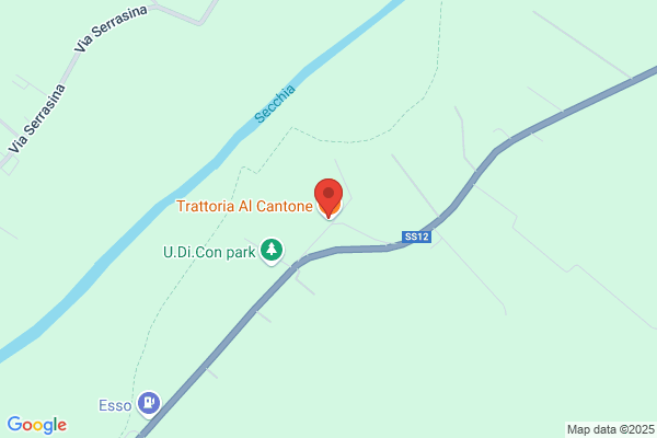 Modena Tm