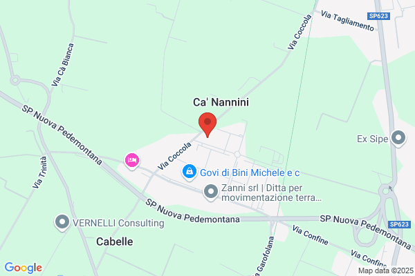Torelli ivano