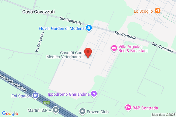 Casa di Cura Medico Veterinaria Privata Estense