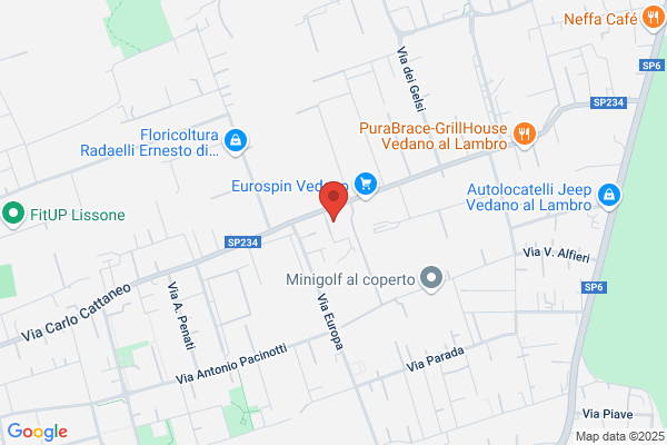 Multiservice Villese.