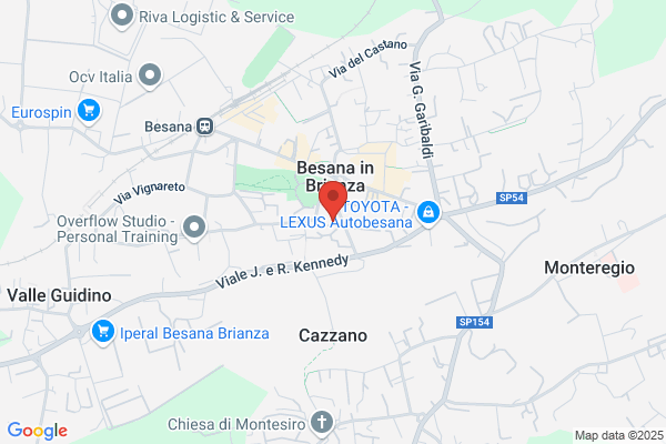 Esco Italiana Spa