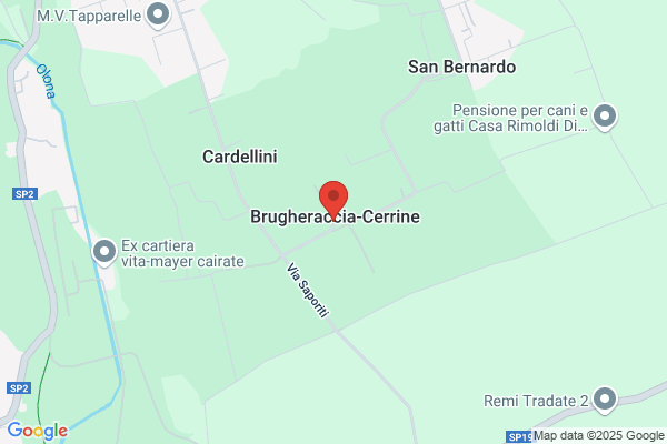 Pavesi francesco
