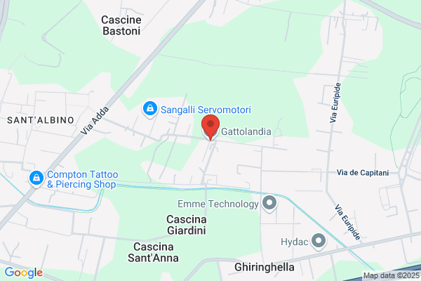 Mega Di Gatto Pasquale