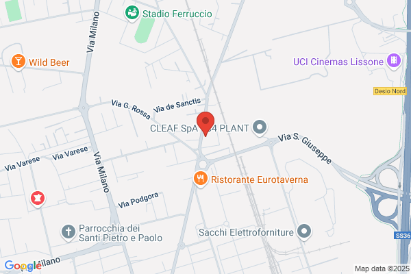 Mariani ambrogio