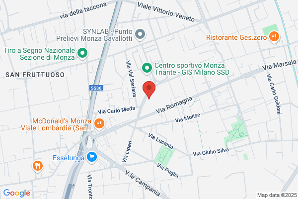 Milanesi renato (Dr.)