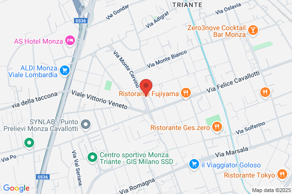 Vezzoli giannina