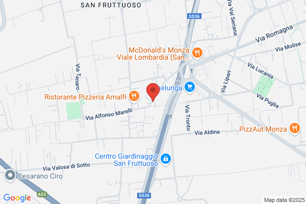 Federazione Prov.D.Milano D.Partito D.Socialisti Italiani