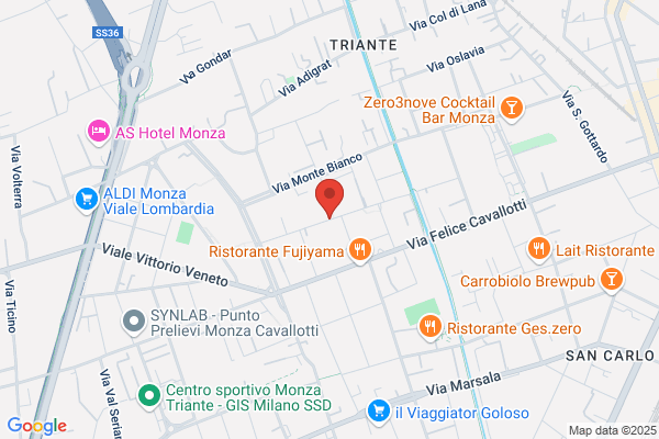 Erba Bruno (Geom.)