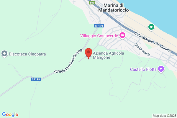 Mangone tommaso
