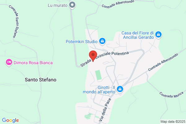 Palazzini maurizio