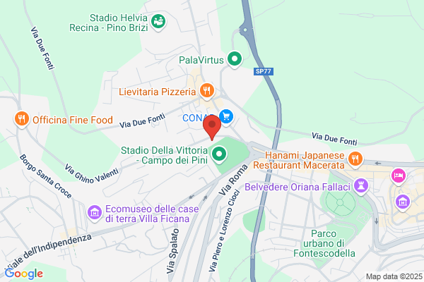 Pucci gilberta (Dr.)