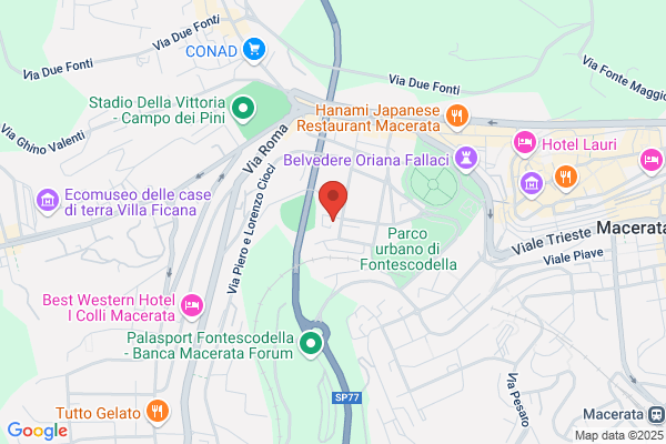 Palestra Robbys Di Monachesi E Scalcon