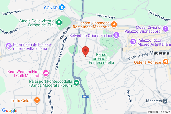 Fisiosport
