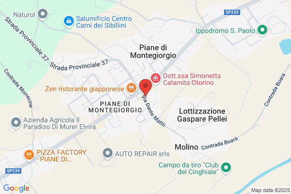 Pizzeria Delizia Di Mariani Massimiliano E C snc