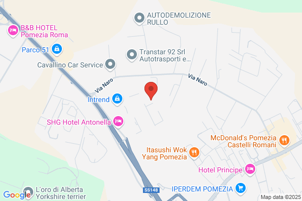 Tecnotrans Srl