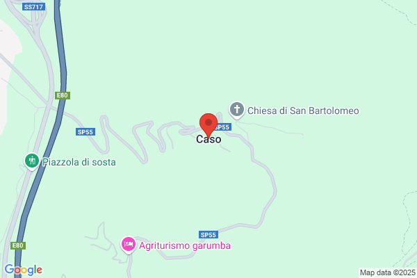 Elvio Caso