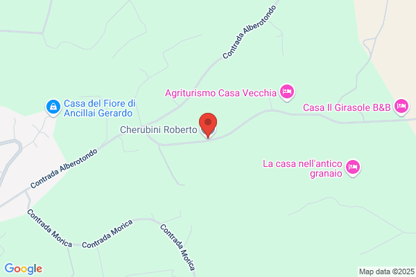 Roberto,cherubini