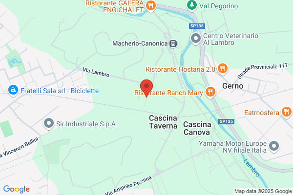 Fiori per Dire