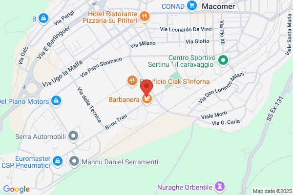 Palmas roberto