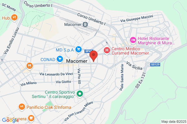 Pinna marco (Dr.)