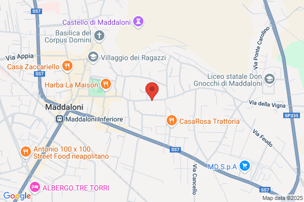 Gesori Srl