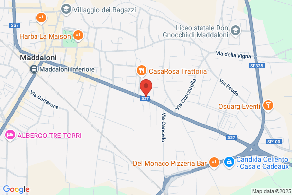 Nuova Ortopedia Sannitica Srl