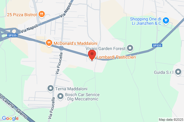 Lombardi vincenzo
