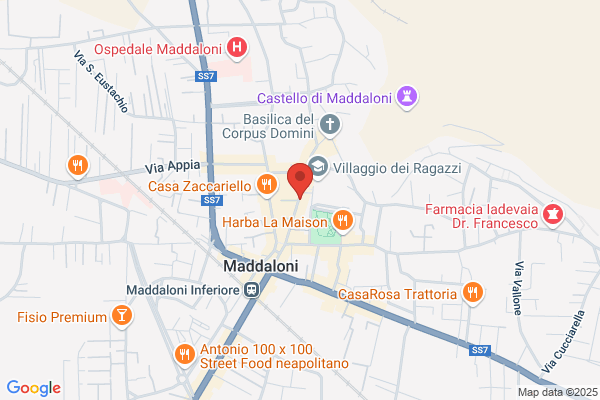 Manfredonia antonietta (Dr.)