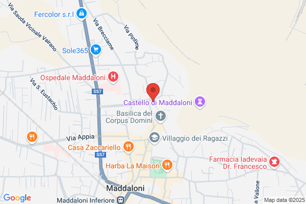Manfredonia luigi (Dr.)