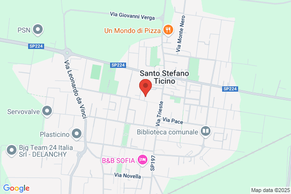 Simona Negrini Design Studio