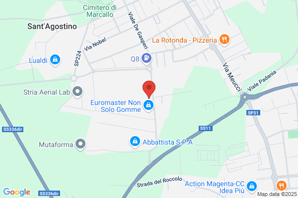 Magugliani dario
