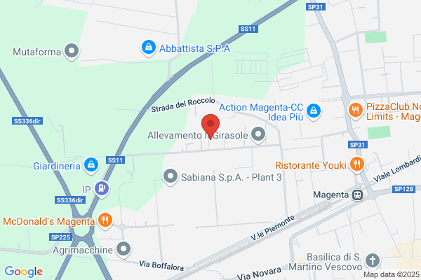 Mobilificio F.lli Borsani