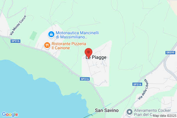 Ristorante Pizzeria Da Massimo