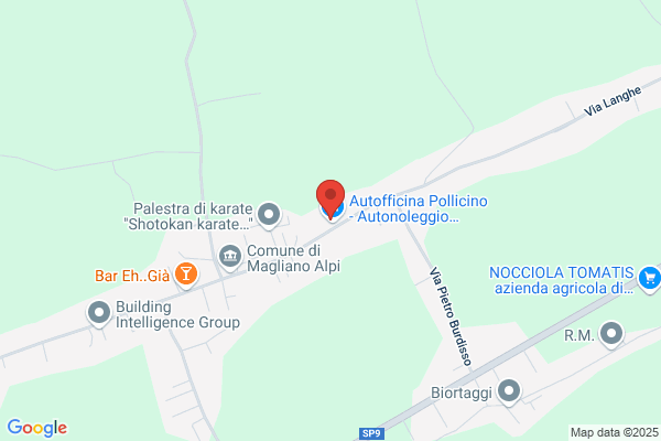 Autofficina Pollicino - Autonoleggio - Gommista Autodiagnosi - Auto Sostitutiva