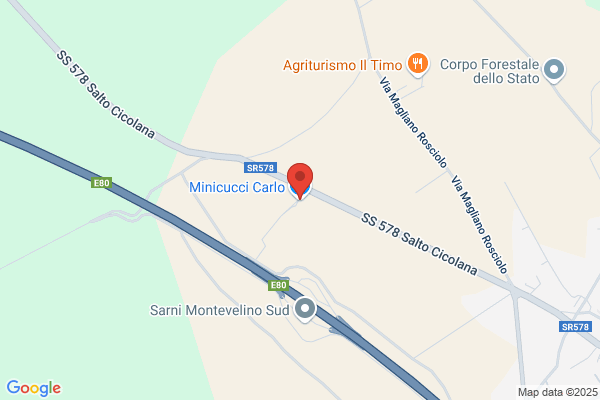 Minicucci michele