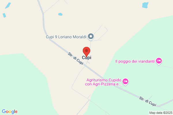 Conti Gianfranco