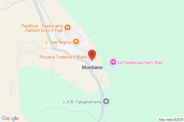 Pizzeria Trattoria Il Rialto