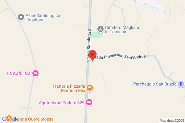 Polisportiva Maglianese