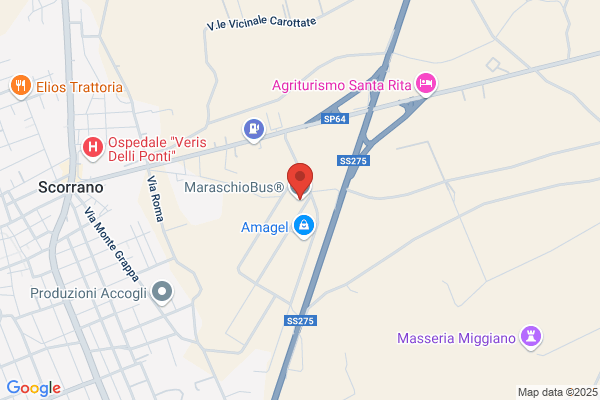 Maraschio Bus