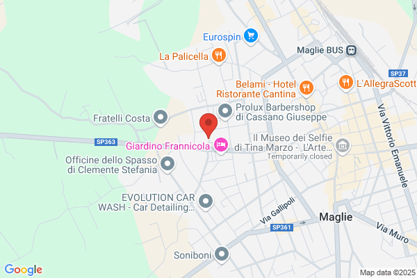 Federazione Italiana Gioco Calcio