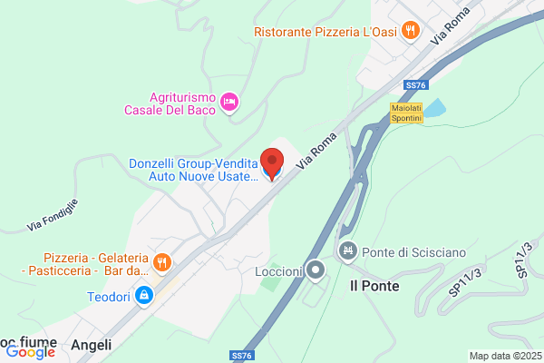 Donzelli Group