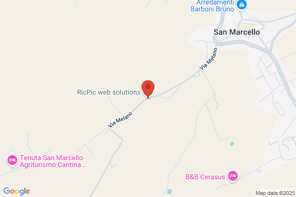 Ricpic Web Solutions