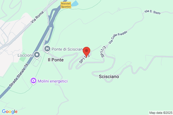 daniela felcini