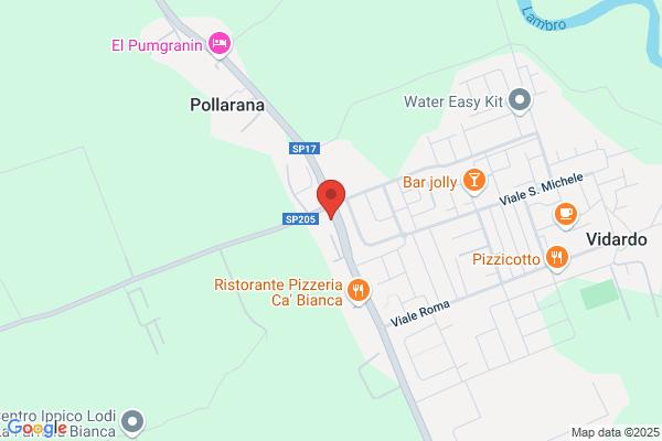 Vigorelli Milanesi gianfranco
